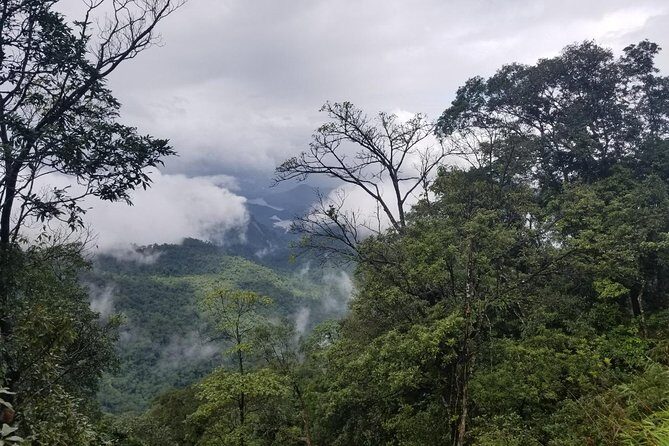 Small Group - Bach Ma National Park Trekking Tour From Hue - Final Thoughts