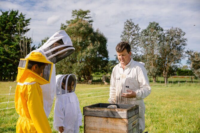 Small-Group Beekeeping Experience in Tauherenikau - Who Should Consider This Tour?