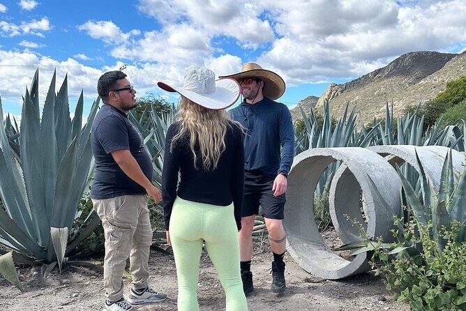 Small Group Boerve del Agua and Mezcal Tour from Oaxaca Centro - Considerations for Travelers