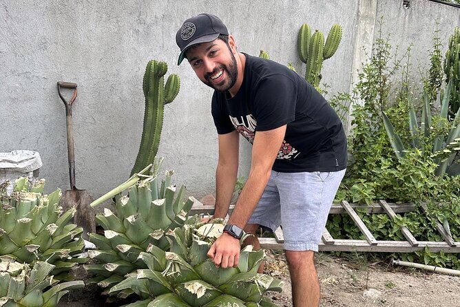 Small Group Boerve del Agua and Mezcal Tour from Oaxaca Centro - Who Should Take This Tour?