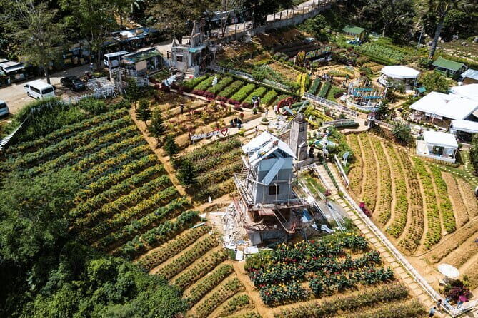 Small Group Cebu City And Uphill Mountain Tour - Sirao Flower Farm: Cebu’s Little Amsterdam