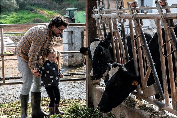 Small Group Cheese Making and Tasting from the Island of Baleares - An In-Depth Look at the Cheese Making Farm Tour