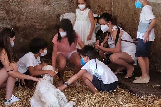 Small Group Cheese Making and Tasting from the Island of Baleares - Frequently Asked Questions