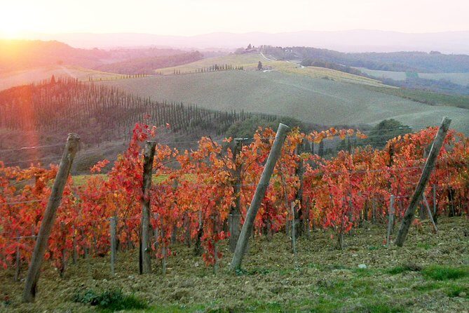 Small-Group Chianti and San Gimignano Sunset Trip from Siena - The Experience’s Strengths