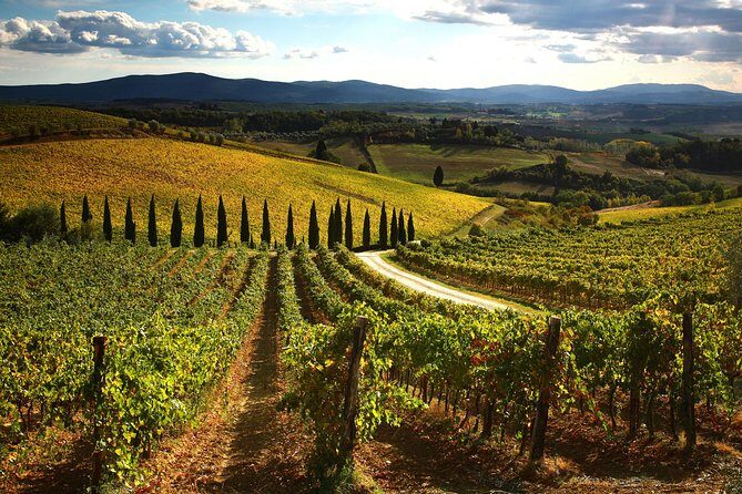 Small-Group Chianti Trip with Wine Tasting from Siena - Practical Tips for Travelers