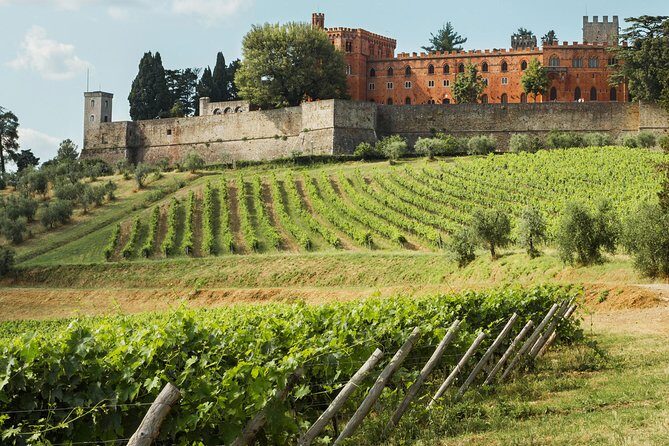 Small-Group Chianti Trip with Wine Tasting from Siena - The Sum Up