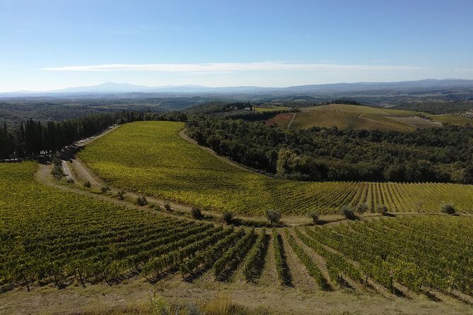 Small-Group Chianti Trip with Wine Tasting from Siena - FAQ