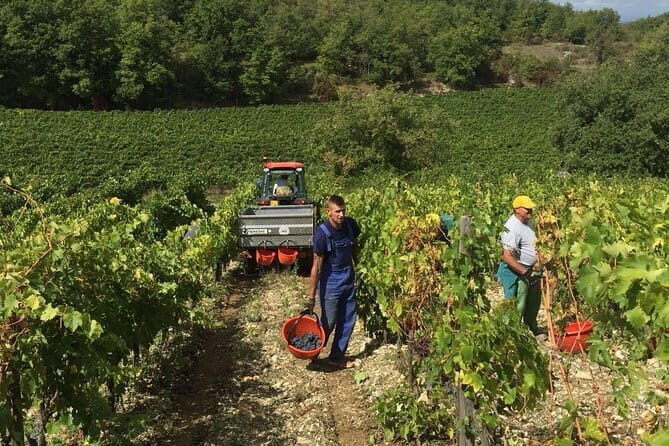 Small Group Chianti Wine Tasting with Seven Tuscan Wines - A Deep Dive into the Experience
