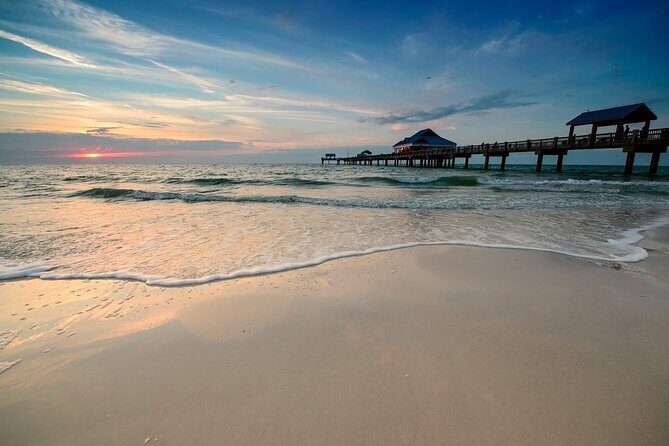 Small Group Clearwater Beach, Dolphin Watch Day Tour from Orlando - Who Is This Tour Best For?