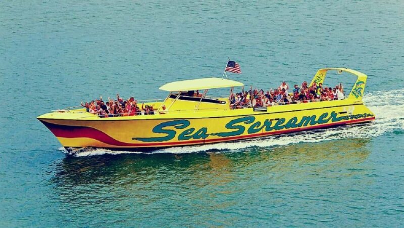 Small Group Clearwater Beach,Dolphin Watch Tour from Orlando - The Itinerary: A Well-Structured Day for Relaxation and Adventure