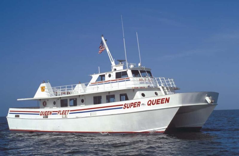 Small Group Clearwater Beach,Dolphin Watch Tour from Orlando - Practical Considerations