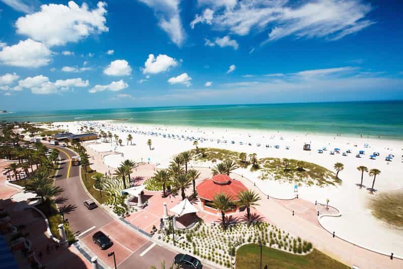 Small Group Clearwater Beach,Dolphin Watch Tour from Orlando - Key Points