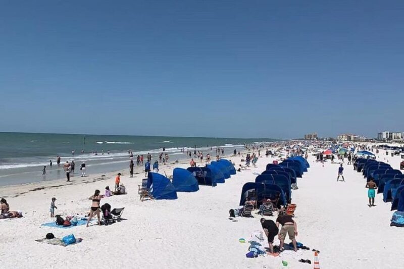 Small Group Clearwater Beach,Dolphin Watch Tour from Orlando - FAQ