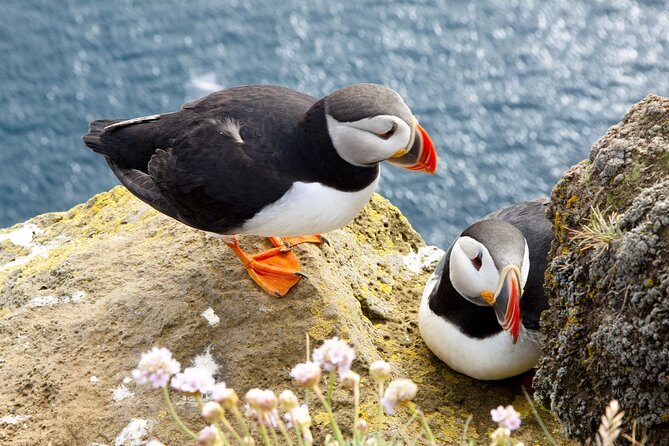 Small Group - Cliffs Cruise, Aran Islands AND Connemara in One Day from Galway - The Itinerary Breakdown: What to Expect
