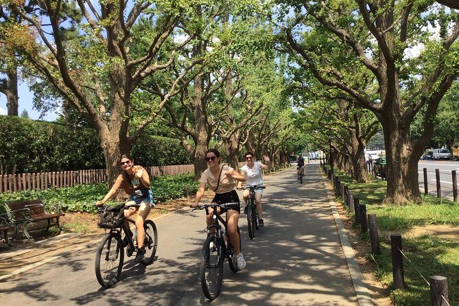 Small Group Cycling Tour in Tokyo - Final Thoughts: Who Will Love This Tour?