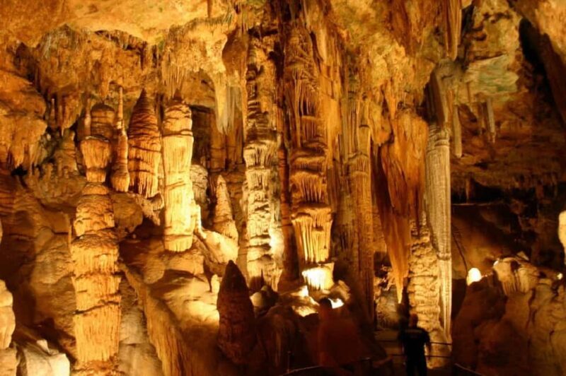 Small-Group D.C. Day Trip to Shenandoah Park & Luray Cavern - Who Will Love This Tour?
