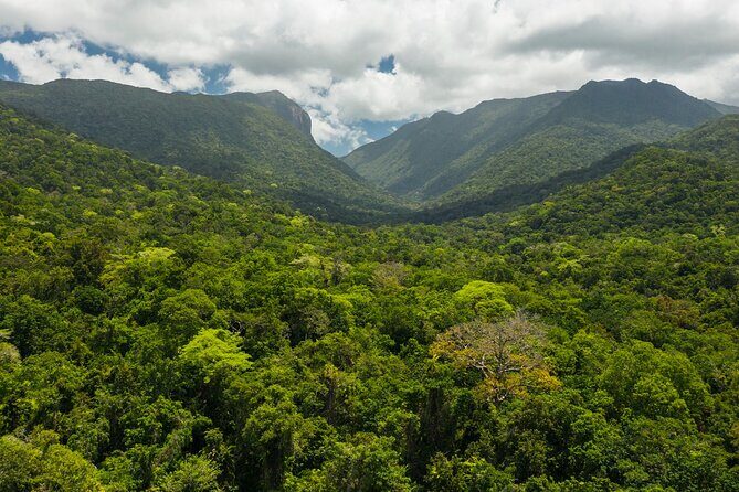 Small Group Daintree Rainforest and Aboriginal Coastal Adventure - What Makes This Tour Special?