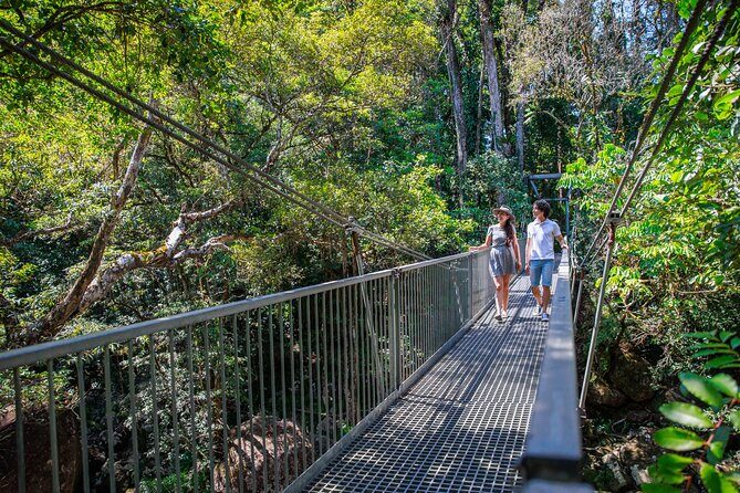 Small Group Daintree Rainforest and Aboriginal Coastal Adventure - The Sum Up: Who Should Consider This Tour?