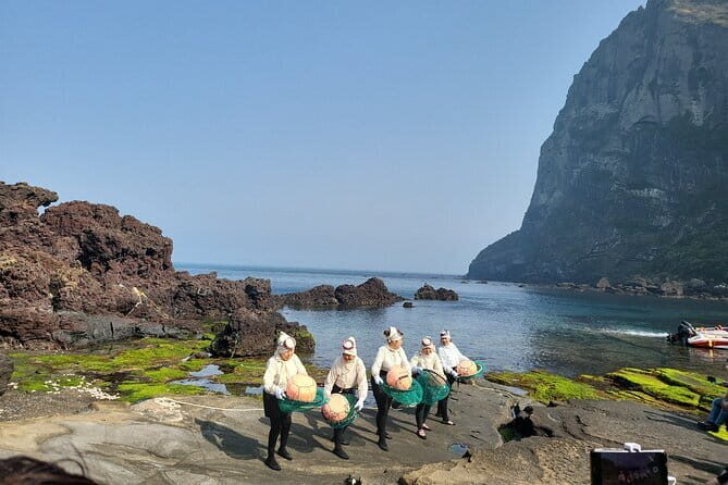 Small Group Day Tour in East Jeju Healing Island - The Sum Up