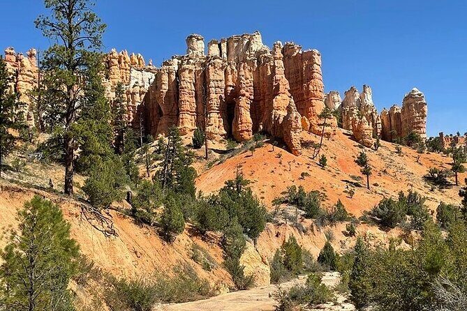 Small Group Day Tour To Explore Bryce Canyon & Zion National Park - A Deep Dive into the Experience