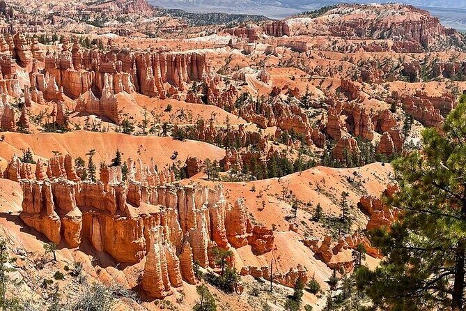 Small Group Day Tour To Explore Bryce Canyon & Zion National Park - FAQs