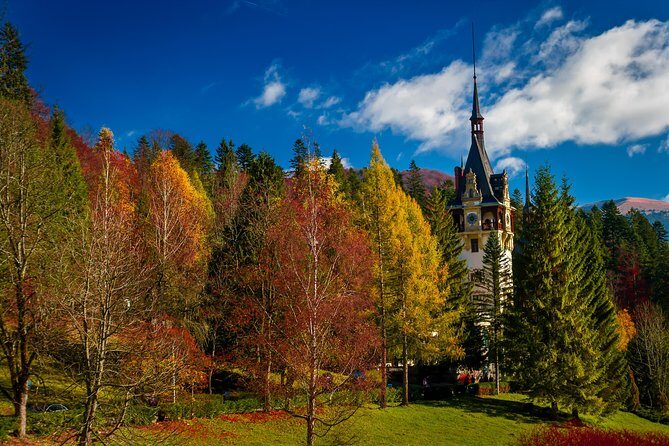 Small-Group Day Trip to Dracula's Castle, Brasov and Peles Castle - The Complete Experience: What to Expect