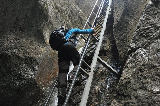 Small-Group Day Trip to the Epic 7 Ladders Canyon from Brasov - Key Points