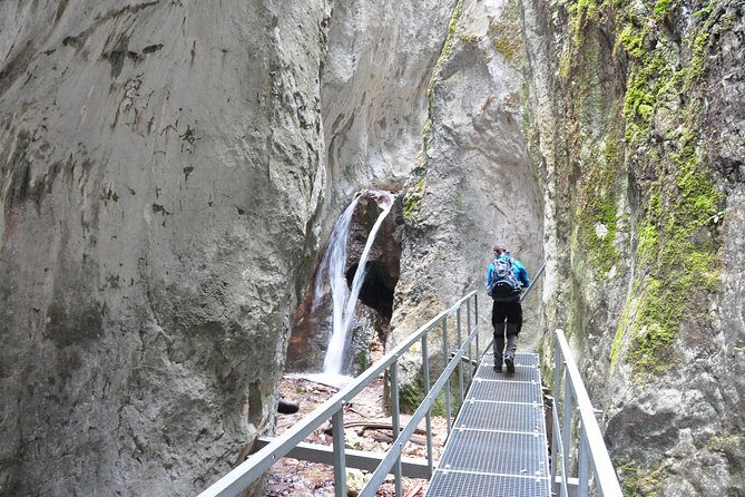 Small-Group Day Trip to the Epic 7 Ladders Canyon from Brasov - The Details — An In-Depth Look at the Experience