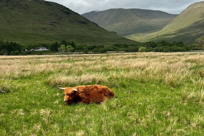 Small Group Day Trip to the Stunning Scottish Highlands & Glencoe - Who Should Consider This Tour?