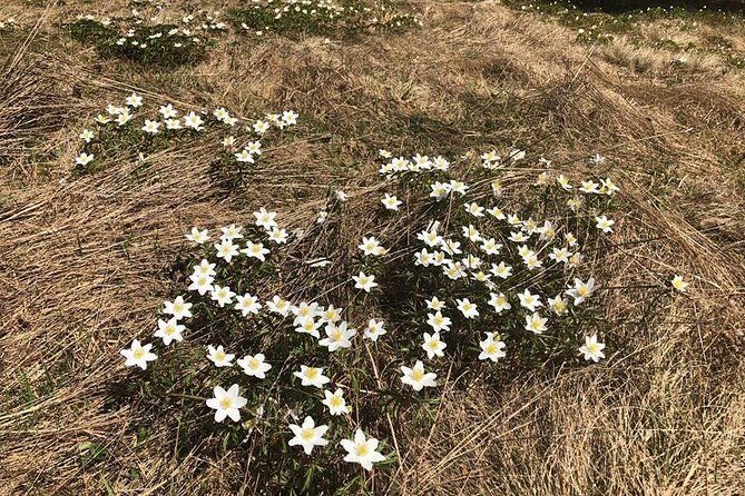Small-group day trip to the unique volcanic lake in Eastern Europe - Ending the Day at Tusnad Bai