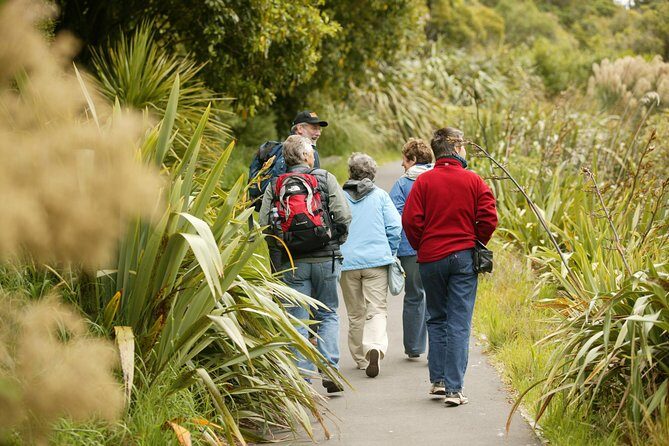 Small Group Daytime 2-Hour Eco Wildlife Tour at Zealandia - What the Reviews Tell Us