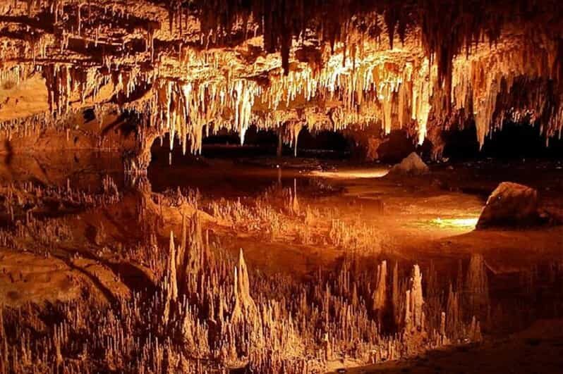 Small-Group DC Day Trip to Shenandoah Park&Luray Cavern - Key Points