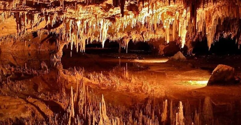 Small-Group DC Day Trip to Shenandoah Park&Luray Cavern - A Deep Dive into the Tour Experience
