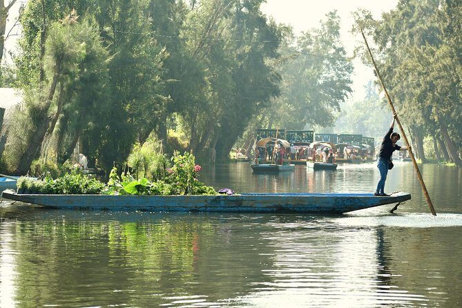 Small Group: Discover Xochimilco, Coyoacán, Frida Kahlo Museum and House - The Sum Up