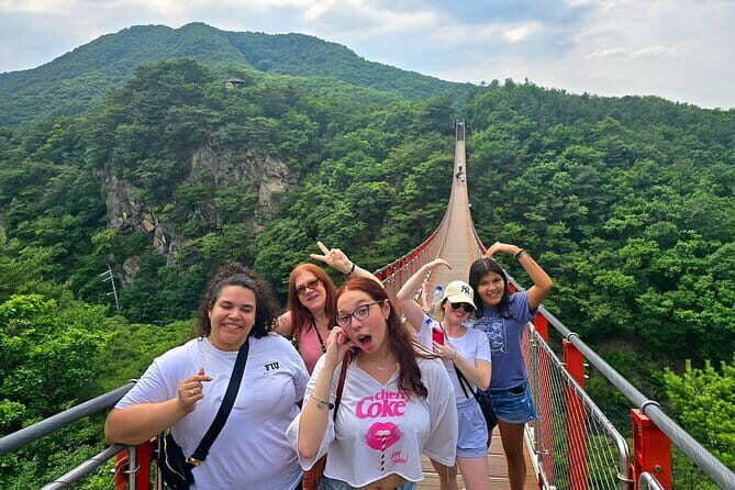 Small Group DMZ Tour from Seoul Korea with North Korean Defector - What to Expect from the Tour
