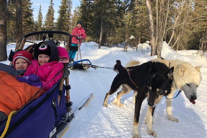 Small-Group Dog Sledding Experience in Sterling - The Practicalities: What’s Included & What to Prepare For