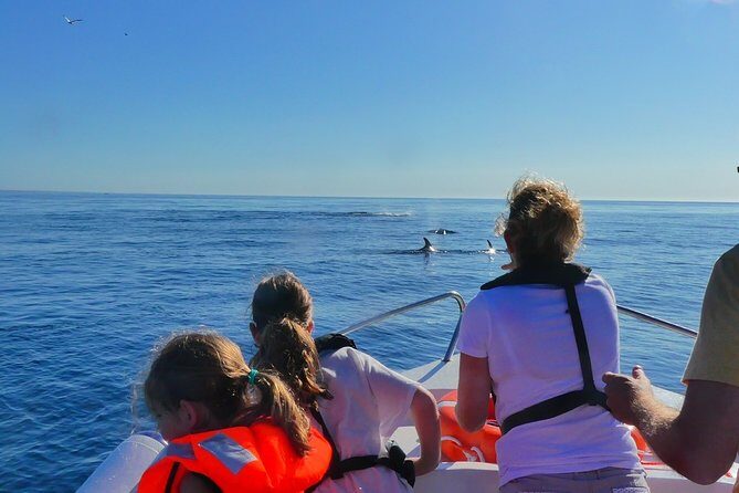 Small Group Dolphin and Wildlife Watching Tour in Faro - An Unpacking of the Experience