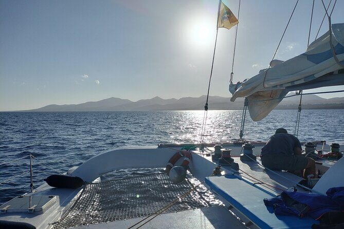 Small Group Dolphin Sunset Tour on Electric Catamaran Lanzarote - An Overview of the Experience
