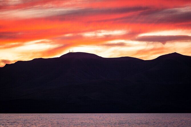 Small Group Dolphin Sunset Tour on Electric Catamaran Lanzarote - In The Sum Up