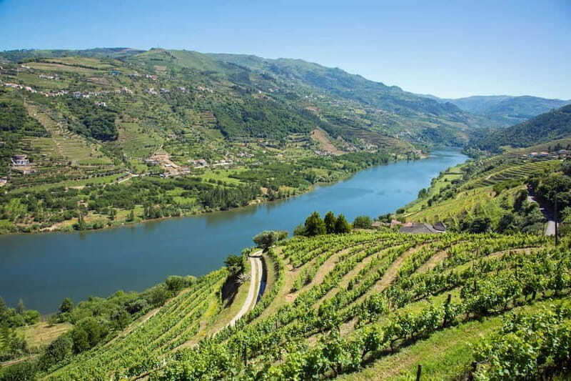 Small Group: Douro Valley Wine Tasting from Porto - A Scenic Boat Ride on the Douro River