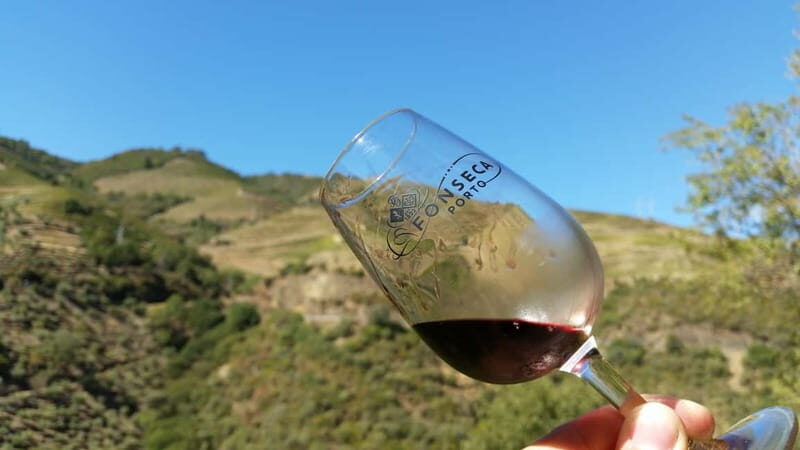 Small Group: Douro Valley Wine Tasting from Porto - Returning to Porto: A Satisfying End