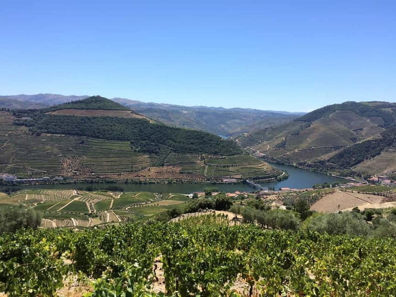 Small Group: Douro Valley Wine Tasting from Porto - The Value of This Tour