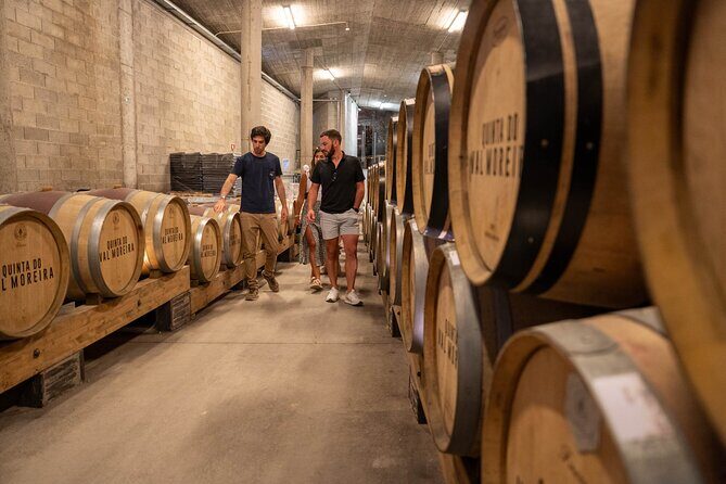 Small Group Douro Valley Wine Tour with Lunch and Cruise - Authentic Experiences Shared by Guests