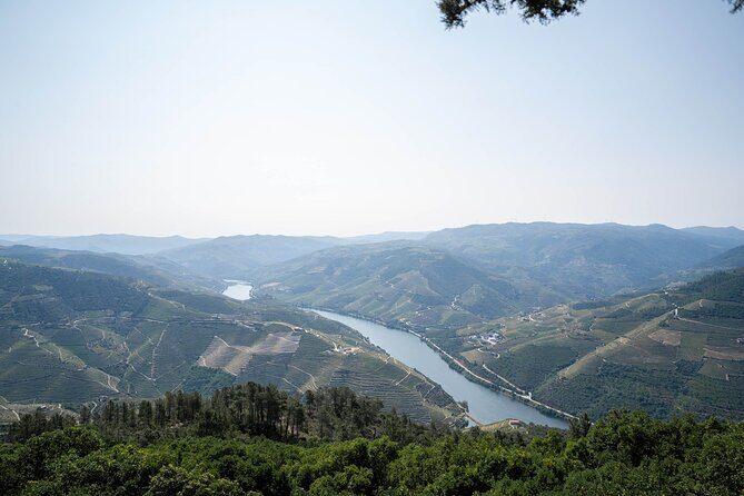Small Group Douro Valley Wine Tour with Lunch and Cruise - Who Is This Tour Best For?
