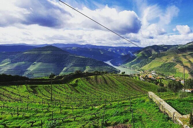 Small Group Douro Wine Valley Tour with Lunch and Wine Tasting - An In-Depth Look at the Douro Wine Valley Tour