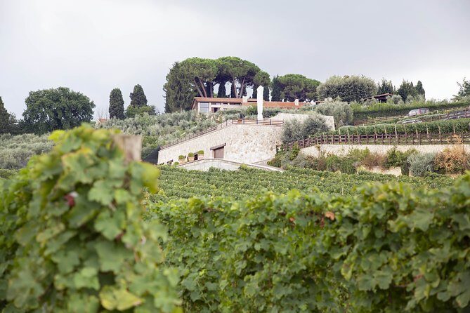 Small-Group Exclusive Winery and Wine Tasting Tour in Frascati - Who Should Consider This Tour?