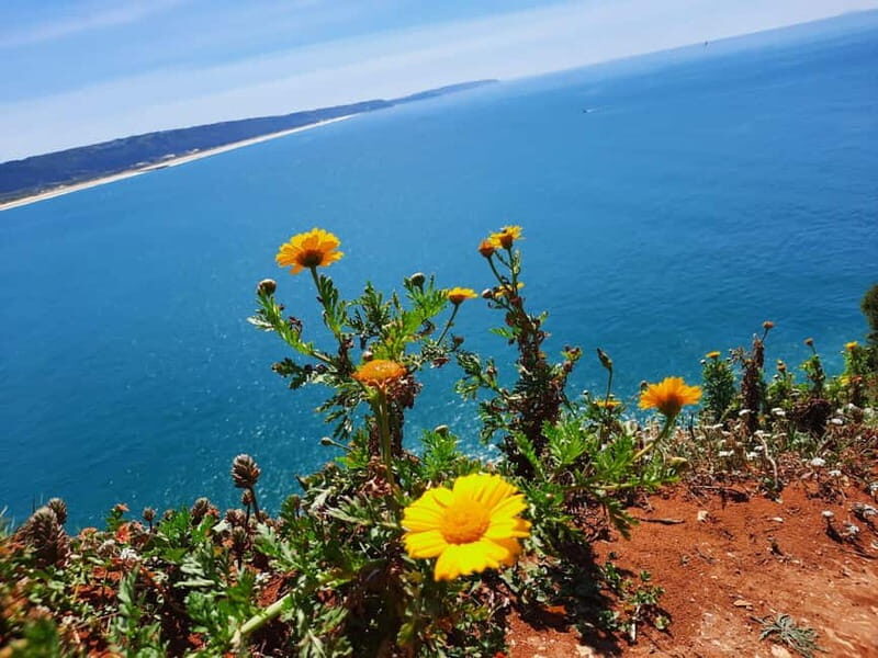 Small Group Excursion to Nazaré, Alcobaça and Obidos from Lisbon - Óbidos: Medieval Charm & Ginja Tasting