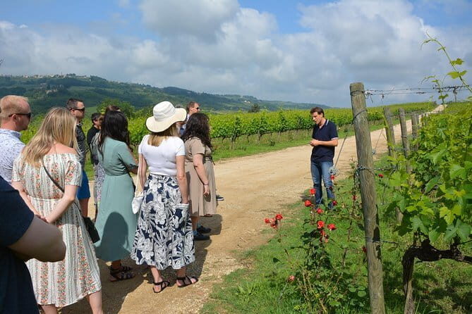 SMALL GROUP Experience Cheese & Chianti visit dairy & 3 wineries - What Travelers Are Saying