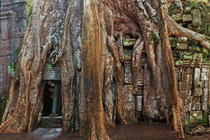 Small-Group Explore Angkor Wat Sunrise Tour with Guide from Siem Reap - The Sum Up