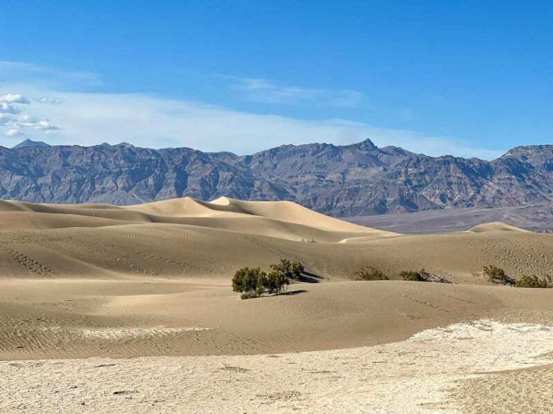 Small Group Family Tour at the Death Valley from Las Vegas - Pricing and Value